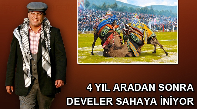 Bölgenin en büyük deve güreşi 2 Şubat’ta