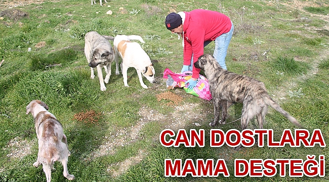 Can Dostlara Mama Desteği