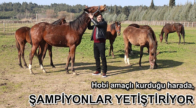Hobi amaçlı kurduğu harada, şampiyonlar yetiştiriyor