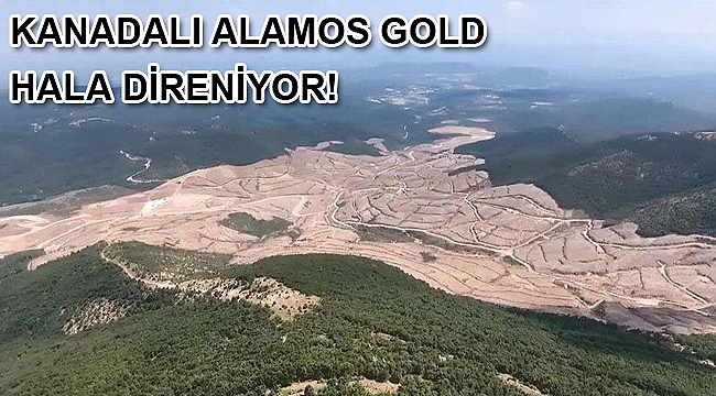 Kanadalı Alamos Gold hâlâ direniyor