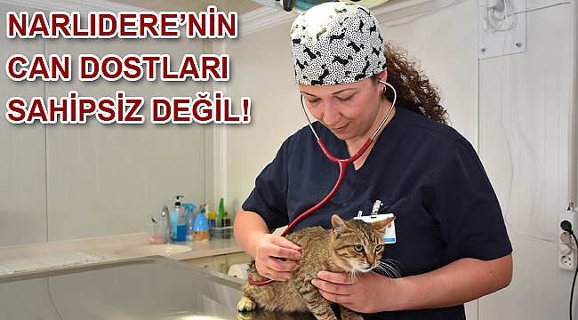 Narlıdere’nin can dostları sahipsiz değil !