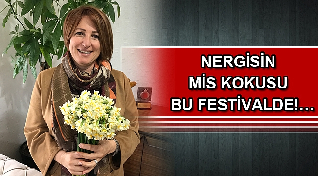 Nergisin mis kokusu bu festivalde!…