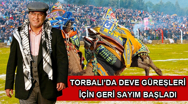 Torbalı’da deve güreşleri için geri sayım başladı