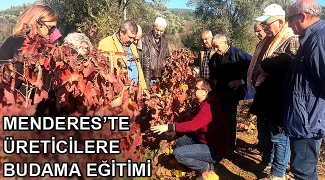 Üreticilere Budama Eğitimi
