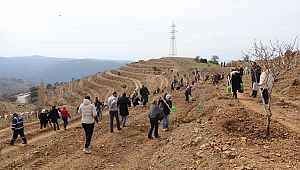 Kampanyanın İlk Fidanları Toprakla Buluştu