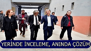 Yerinde İnceleme, Anında Çözüm