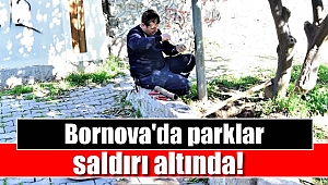 Bornova'da parklar saldırı altında