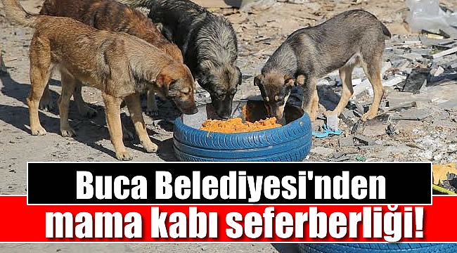 Buca Belediyesi'nden mama kabı seferberliği