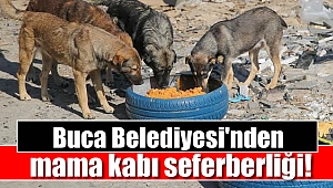 Buca Belediyesi'nden mama kabı seferberliği