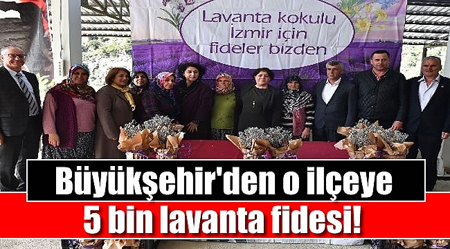 Büyükşehir 5 bin lavanta fidesi dağıttı