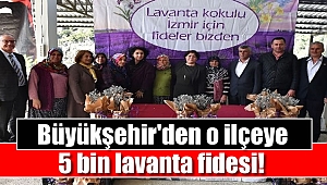 Büyükşehir 5 bin lavanta fidesi dağıttı