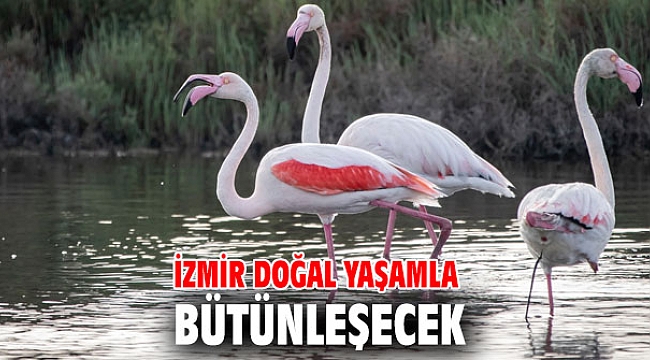 Başkan Soyer, Doğa Rotası’ projesini yerinde inceledi