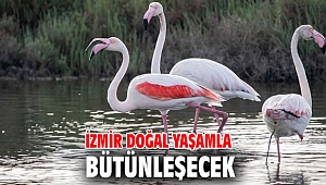 Başkan Soyer, Doğa Rotası’ projesini yerinde inceledi