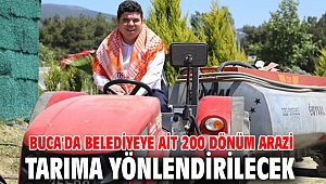 Buca'da Belediyeye ait 200 dönüm arazi tarıma yönlendirilecek
