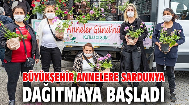 Büyükşehir annelere sardunya dağıtmaya başladı