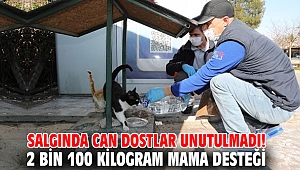Gaziemir'de 2 bin 100 kilogram mama desteği!
