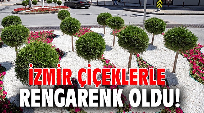 İzmir çiçeklerle rengarenk oldu!