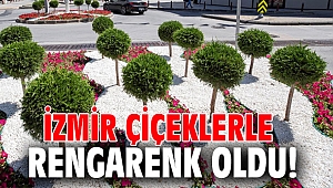 İzmir çiçeklerle rengarenk oldu!