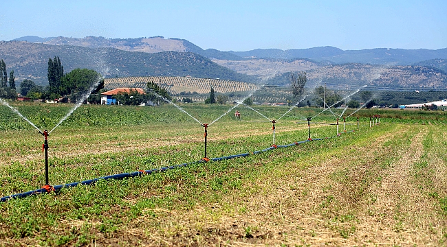 İzmir'de 400 Bin Dekar Tarım Arazisi Sulandı