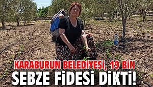 Karaburun Belediyesi, 19 bin sebze fidesi dikti!