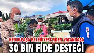 Kemalpaşa'da vatandaşlara fide dağıtıldı