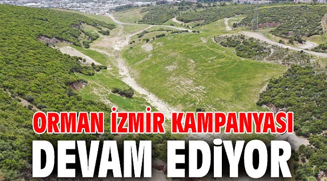 Orman İzmir kampanyası devam ediyor