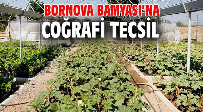 Bornova Bamyası’na coğrafi tecsil