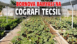 Bornova Bamyası’na coğrafi tecsil