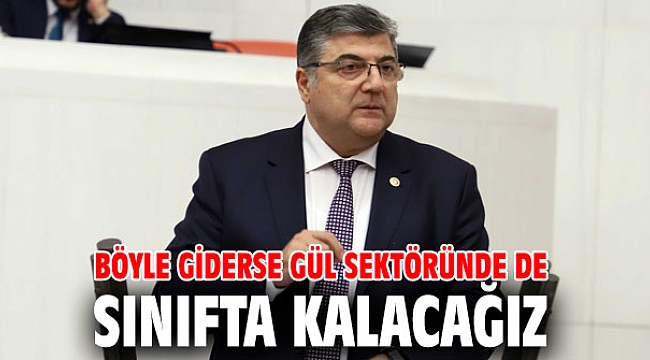 Böyle giderse gül sektöründe de sınıfta kalacağız