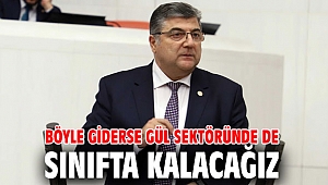 Böyle giderse gül sektöründe de sınıfta kalacağız