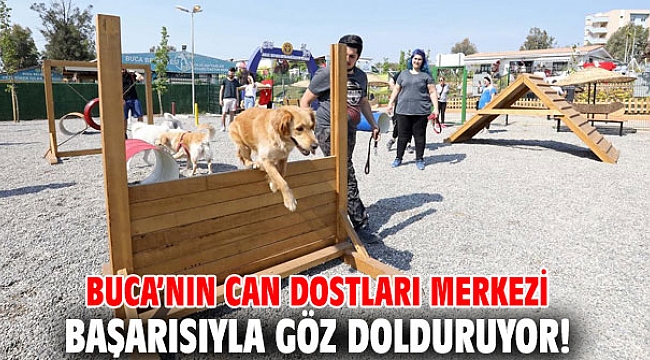 Buca’nın can dostları merkezi başarısıyla göz dolduruyor!
