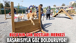 Buca’nın can dostları merkezi başarısıyla göz dolduruyor!