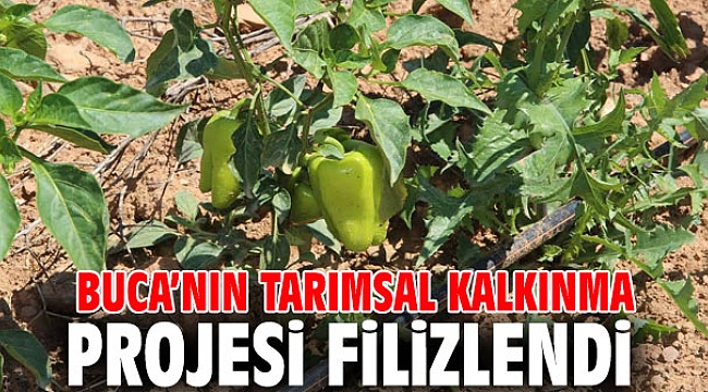 Buca'nın tarımsal kalkınma projesi filizlendi