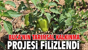 Buca'nın tarımsal kalkınma projesi filizlendi 