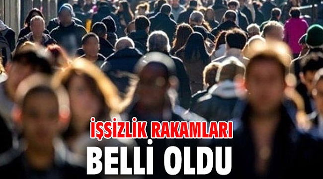 İşsizlik rakamları belli oldu
