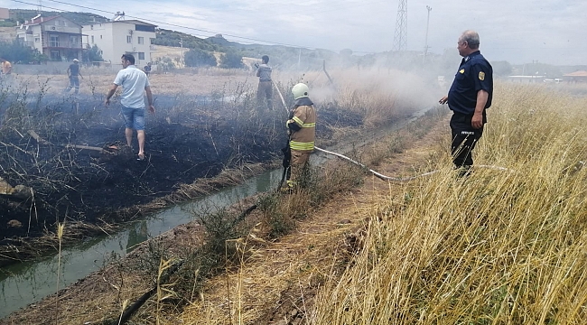 İzmir'de anız yangını! 5 dönüm tarla yandı