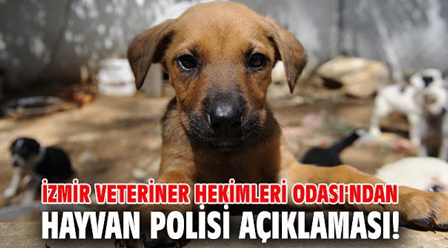 İzmir Veteriner Hekimleri Odası'ndan hayvan polisi açıklaması!