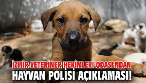 İzmir Veteriner Hekimleri Odası'ndan hayvan polisi açıklaması!