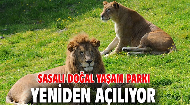 Sasalı Doğal Yaşam Parkı yeniden açılıyor