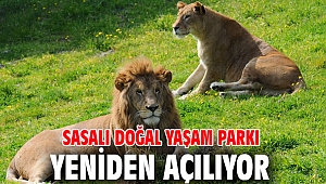 Sasalı Doğal Yaşam Parkı yeniden açılıyor 