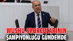 Wushu sporcularının şampiyonluğu gündemde