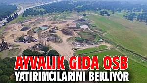 Ayvalık Gıda OSB yatırımcılarını bekliyor
