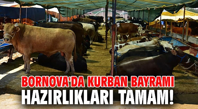 Bornova'da Kurban Bayramı hazırlıkları tamam!