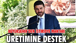 Büyükşehir istiridye mantarı üretimine destek veriyor!