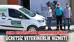 Çeşme Belediyesi’nden sokak hayvanlarına ücretsiz veterinerlik hizmeti