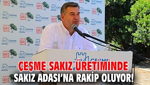 Çeşme sakız üretiminde Sakız Adası’na rakip oluyor!