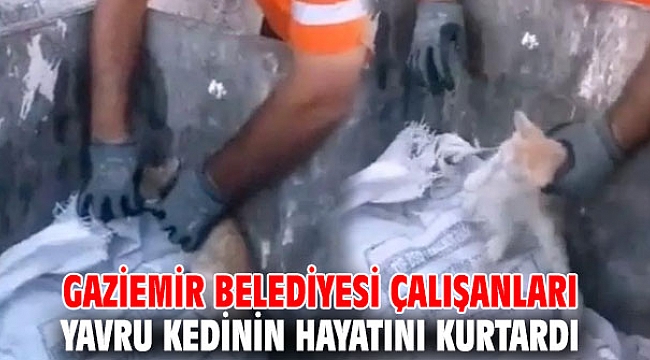 Gaziemir Belediyesi çalışanları yavru kedinin hayatını kurtardı