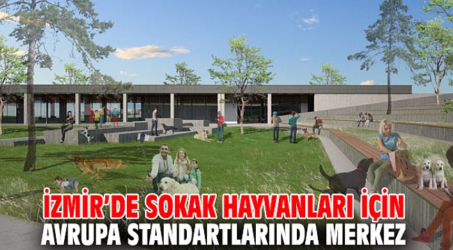 İzmir’de sokak hayvanları için Avrupa standartlarında merkez