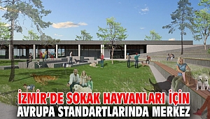 İzmir’de sokak hayvanları için Avrupa standartlarında merkez