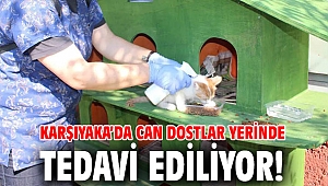 Karşıyaka’da can dostlar yerinde tedavi ediliyor!